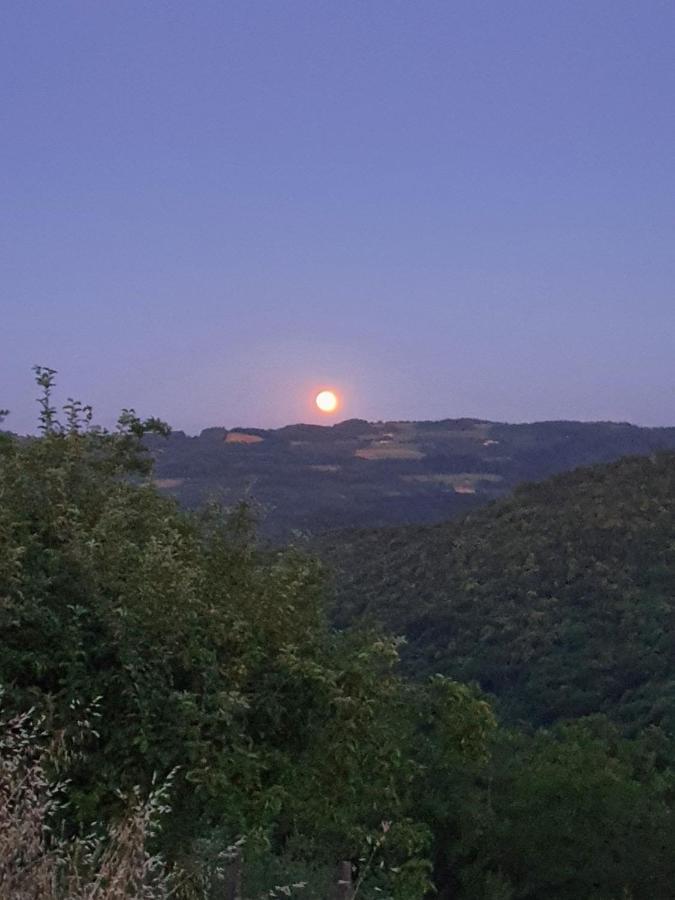 Cascina Brichat Alta Langa Serravalle delle Langhe Kültér fotó